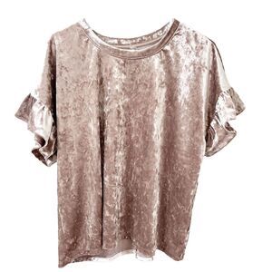 Z Supply Shimmering Velvet Blouse in Beige